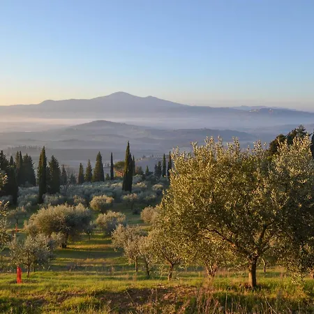 Awesome In Арчидоссо