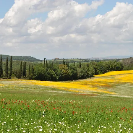 Awesome In * Арчидоссо