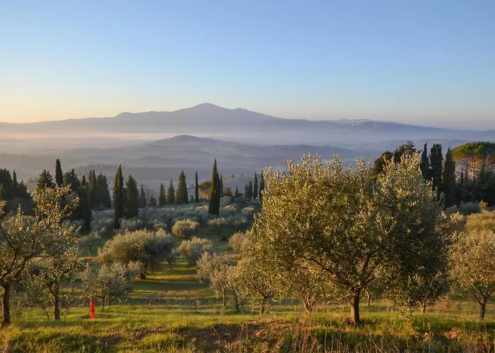 Awesome In Арчидоссо