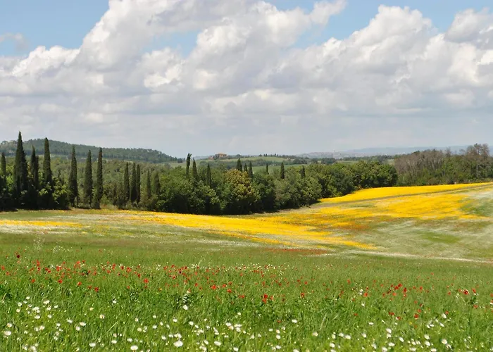 Awesome In * Арчидоссо