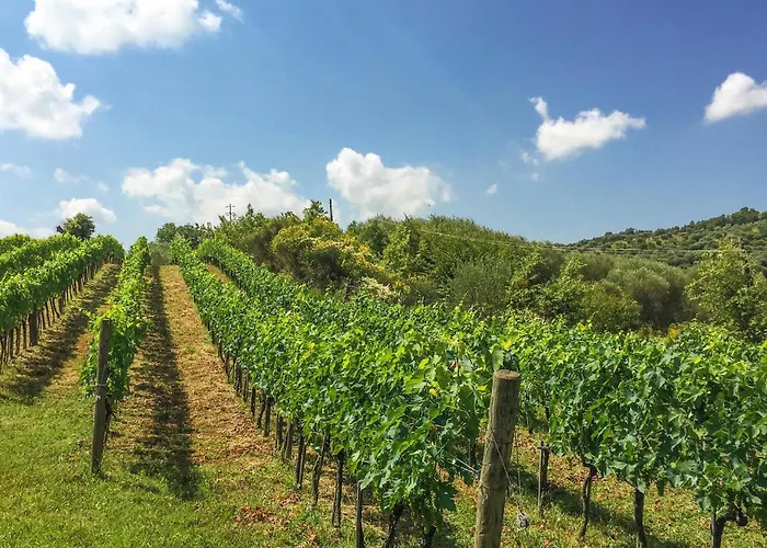 Awesome In Апартаменты *